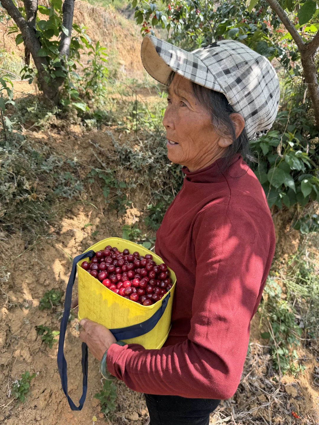 感谢每一位支持我们的顾客，新品上架了！