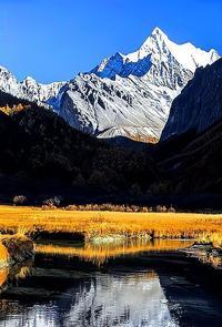 这段“心态文案”刷屏全网：越往后走，越懂心稳才是真赢家
 
最近一段讲心态的文字