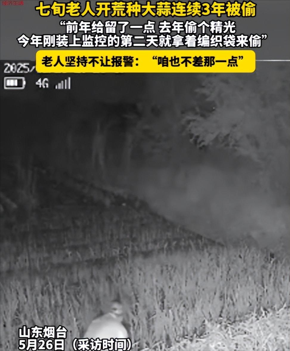 “太缺德！”山东烟台，七旬老人种蒜连被偷三年。家人怒装监控，次日拍到同村人拿编织