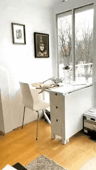 小猫好会享受啊，一边晒着太阳，一边还翘着二郎腿。