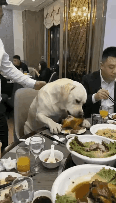 这是男方还是女方的亲戚来了公司年会？