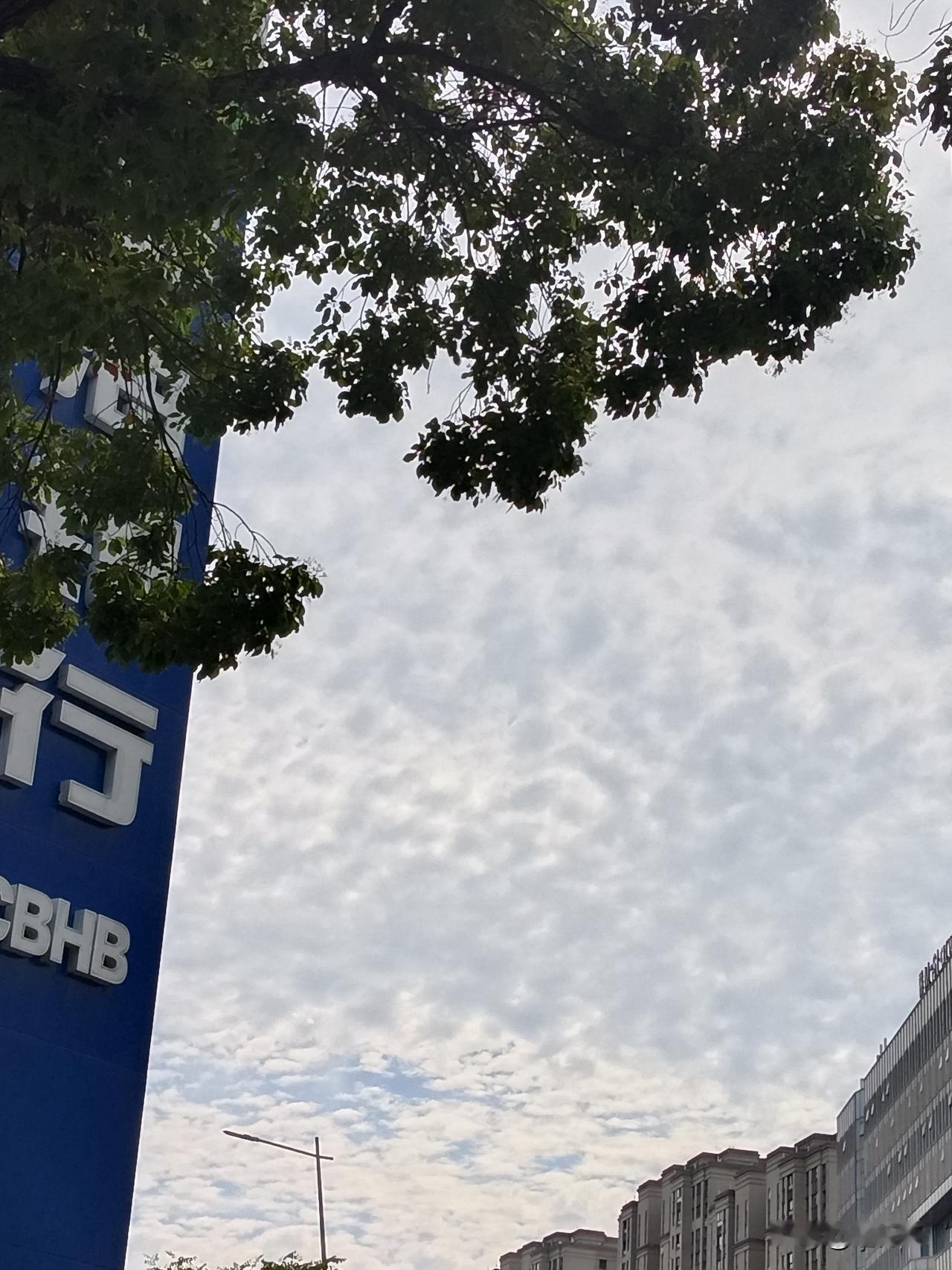 首先，我们得承认这样一个现实：能成为富豪，智商必然在线，除非是那些子承父业的败家