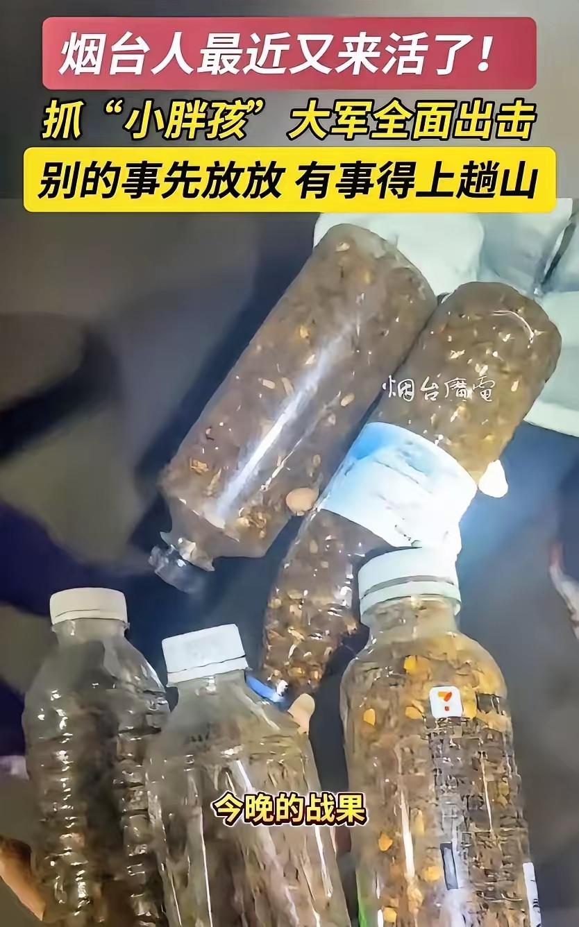 谁能想到，大半夜的山东烟台，一群人不睡觉，开着私家车把荒郊野岭的山脚围了个水泄不