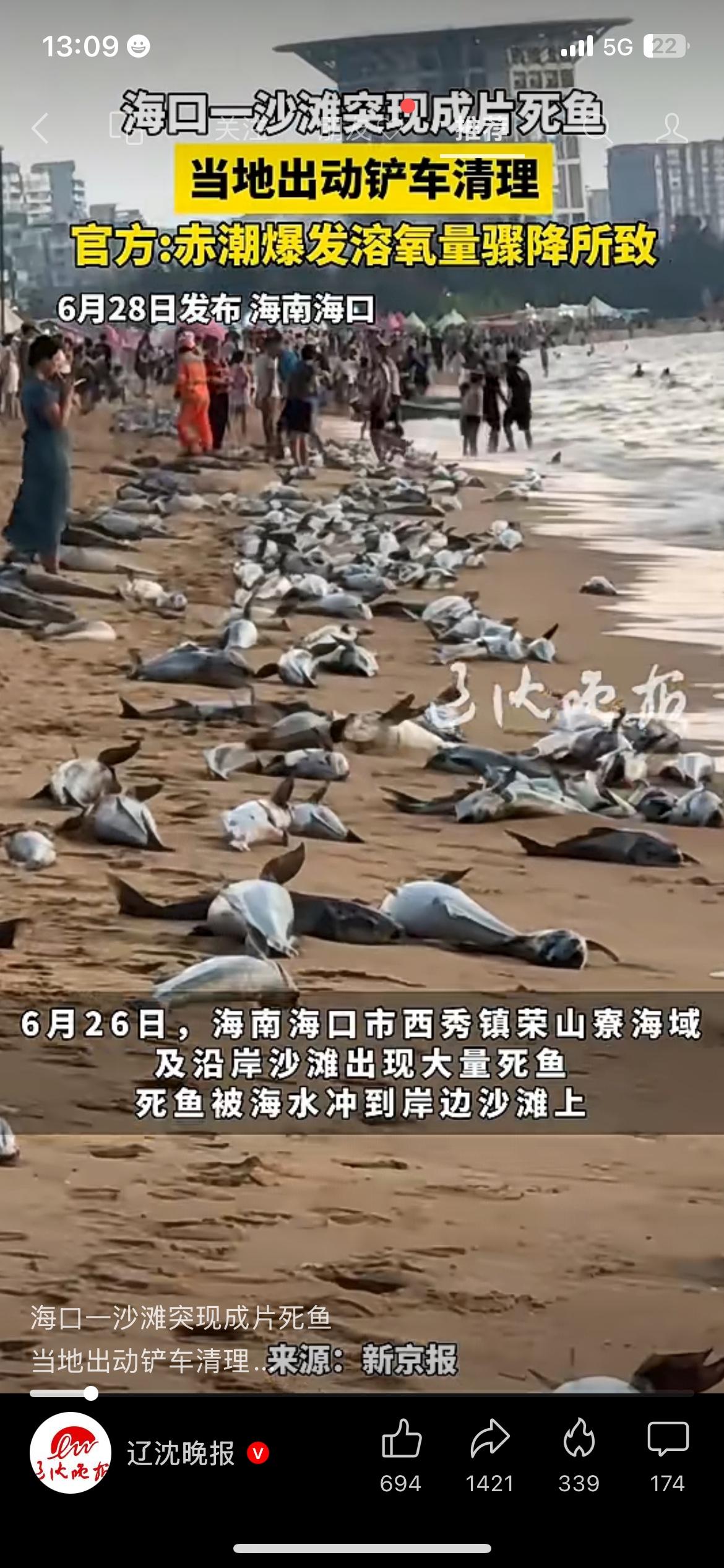 海口沙滩出现大量死鱼，官方原因已经公布
6月26日海口西秀镇海边沙滩冲上大片死鱼