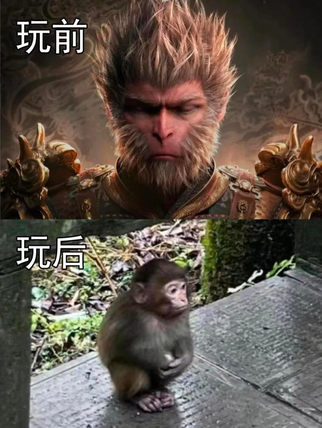 黑神话悟空｜玩前VS玩后要不这个游戏叫《黑神话·广智》吧[doge]玩之前:我是