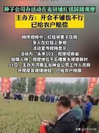 这一看就是踩踏了麦子啊，把人民群众当傻子？

题目居然是“被疑踩踏麦子”，稍微有