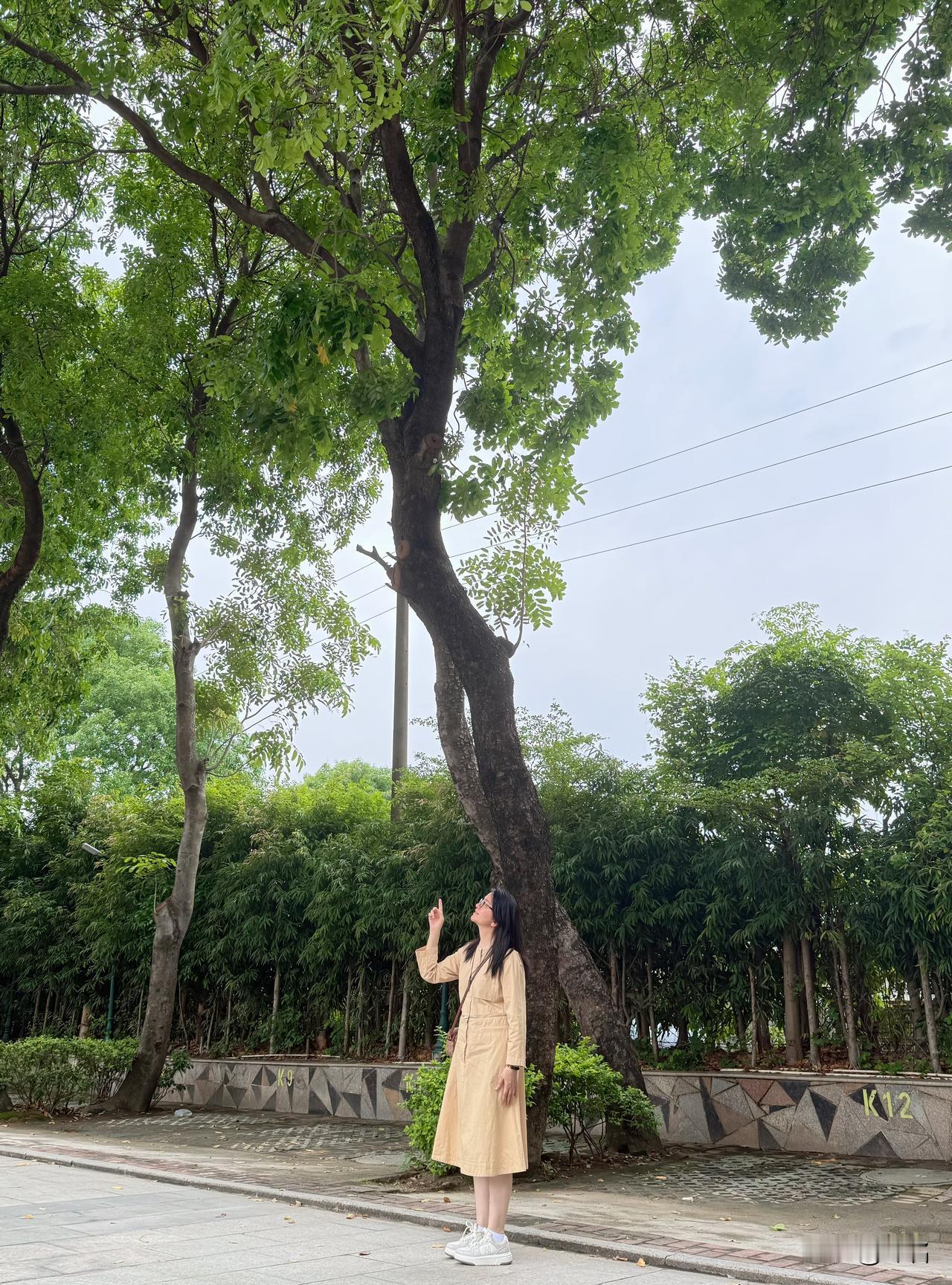 今天立夏，
我与绿意撞个满怀，
和春天温柔告别。

在夏日里，
自在生长，
随心