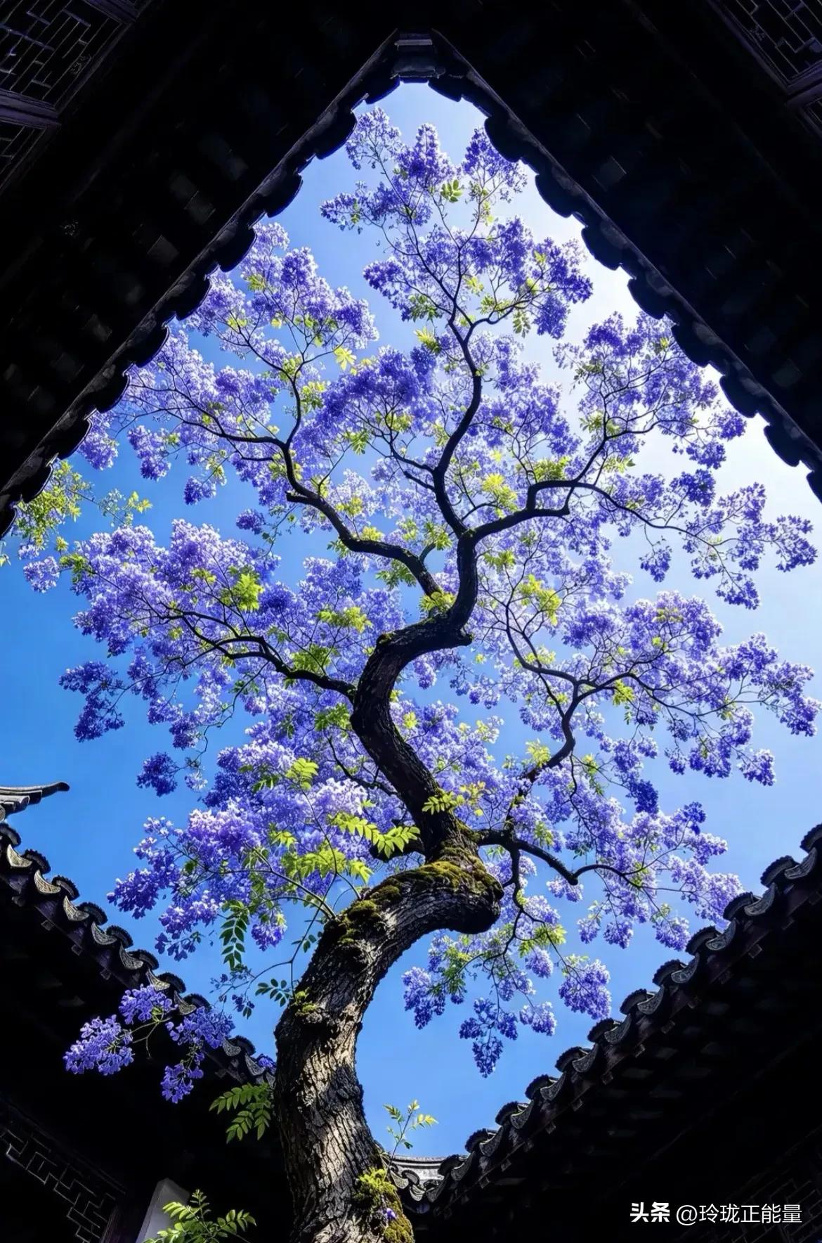 一句很通透的大实话：人一旦走了，夫妻这层关系，也就消散了
 
一段非常通透的话：