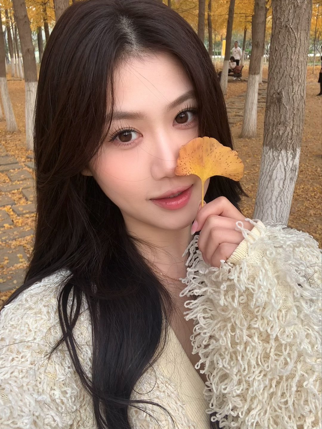 接下来 又到了我们刚认识的季节🍂  