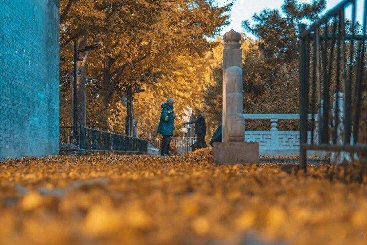 凤凰新闻【退休夫妻不论有多少存款，都要逼自己尽快完成这几件事，余生才安稳】如今已