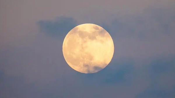 11月5日晚，2025年度最大的超级月亮在夜空中亮相。当天晚上21时19分，月球