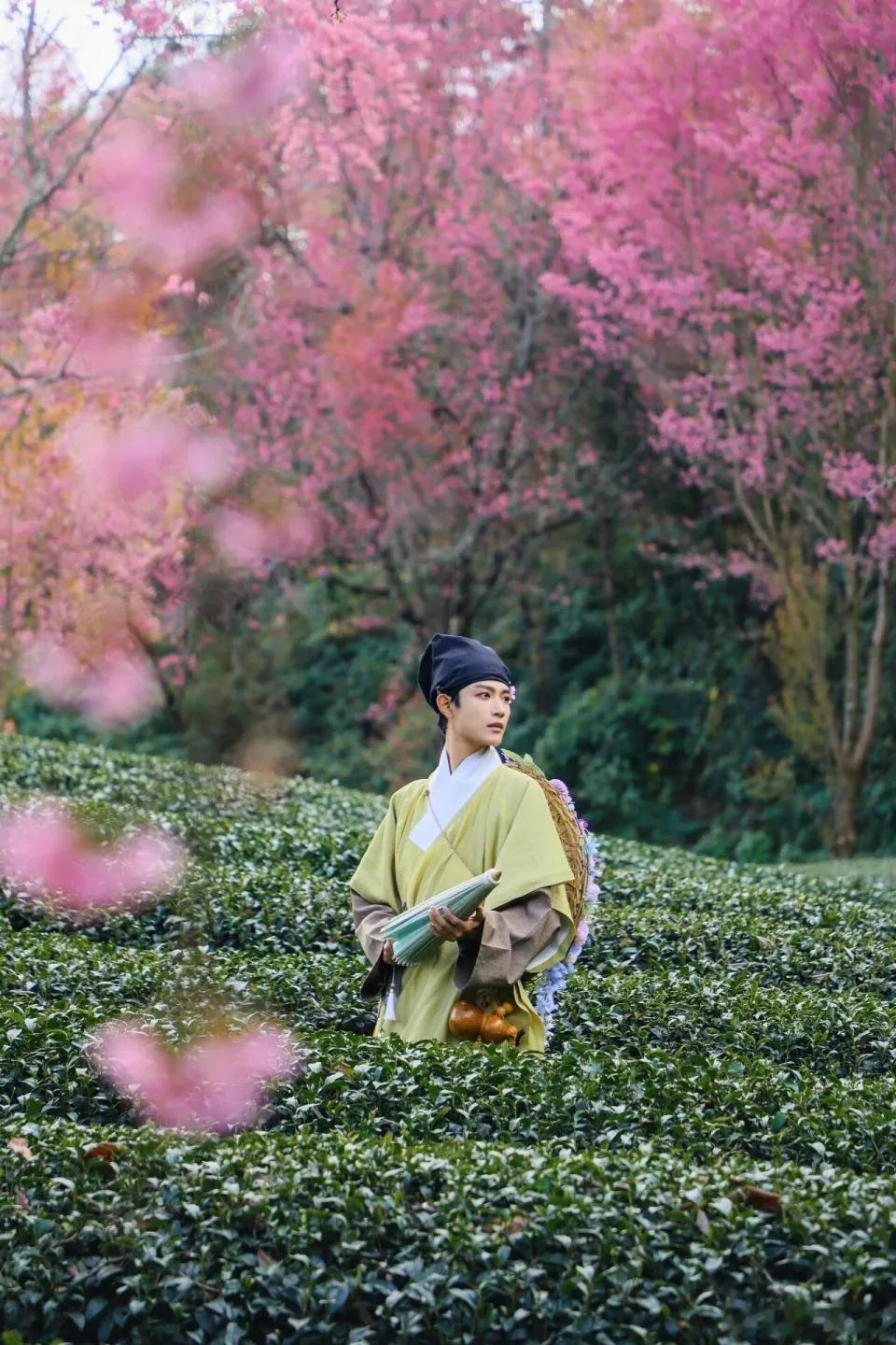 簪花郎比粉饼将军好一些吧古风美少年传统文化