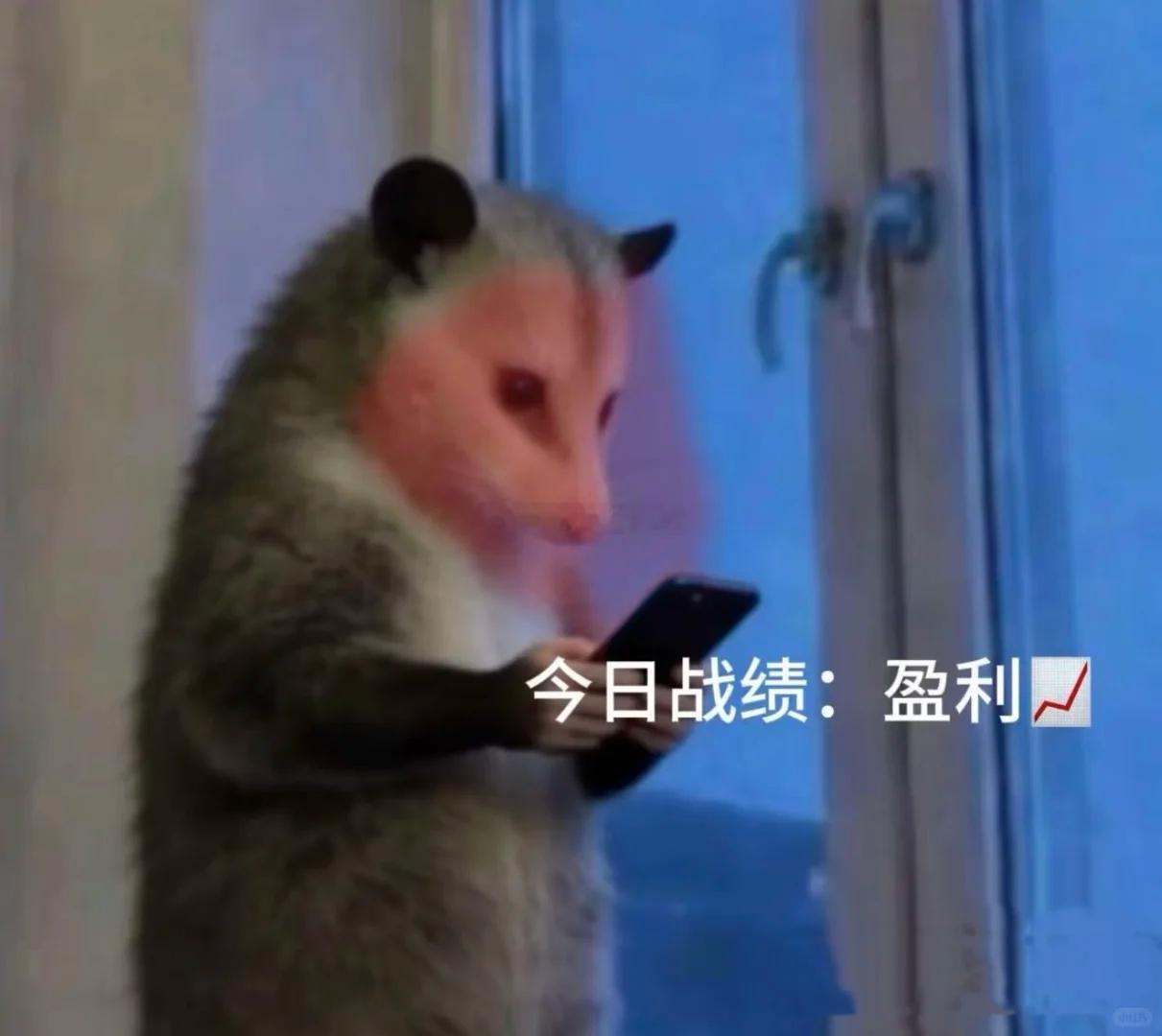 下午好朋友们，欢迎回来！指数缩量上涨，早盘几乎平盘开之后在科技的反弹之下震荡拉高