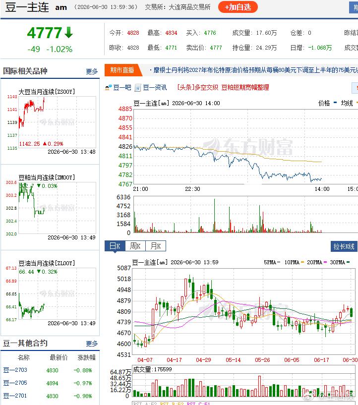 棕榈油期货 豆一这是要复刻橡胶的走势啊豆一期货