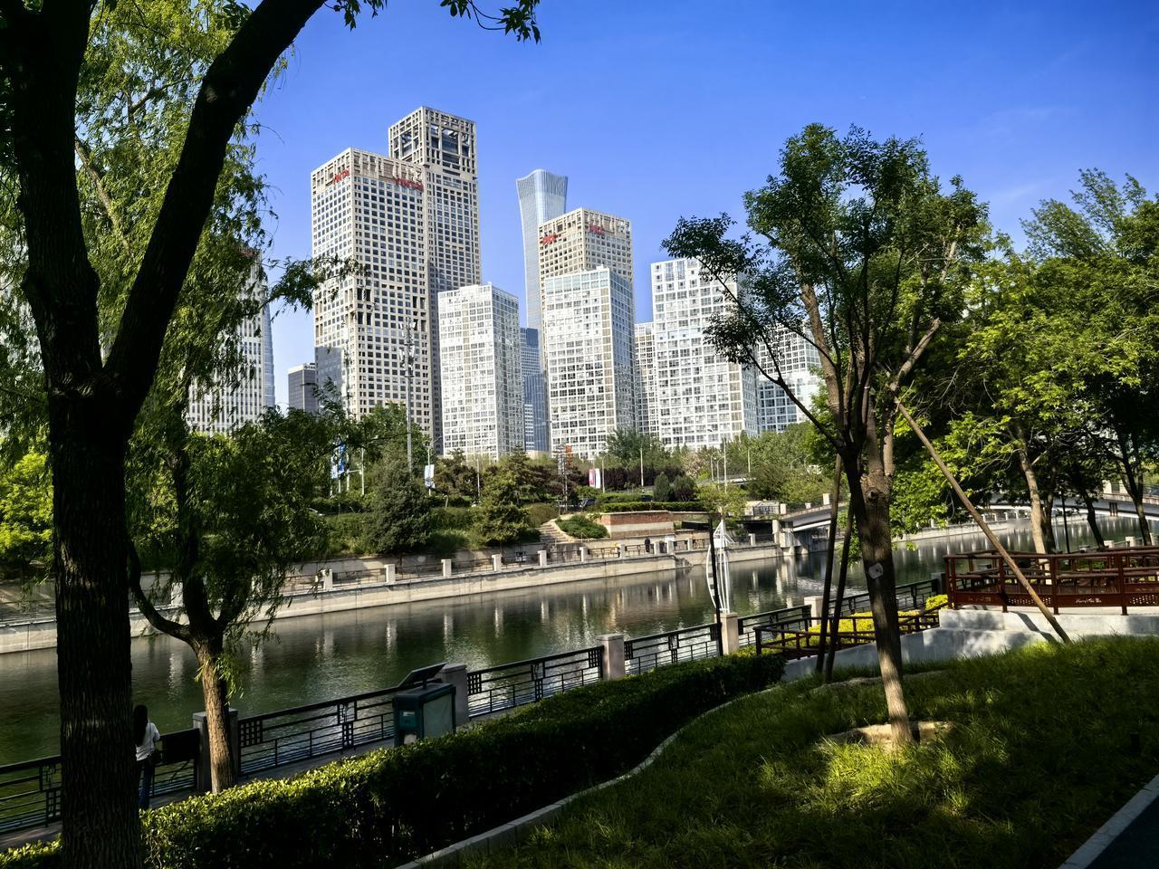 分享一张最近随手拍的照片