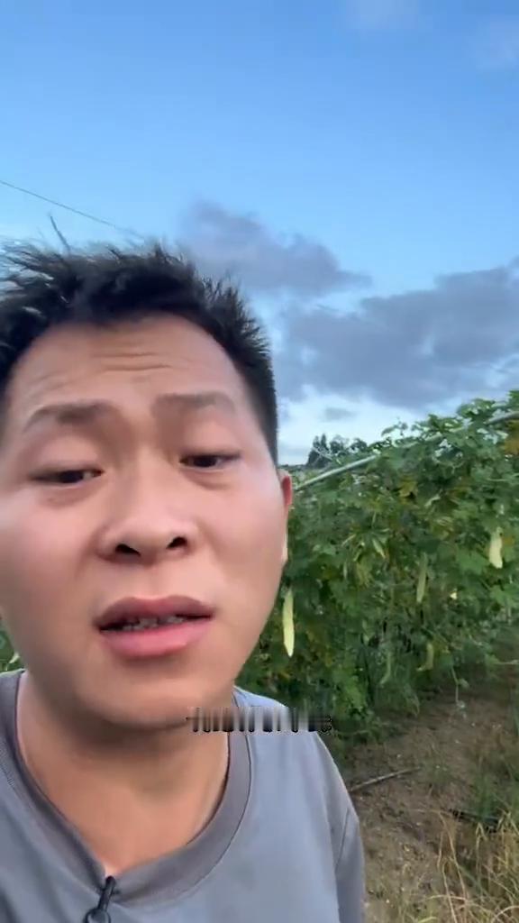 我刚在这里花了十块钱买到了十根我心心念念想吃的苦瓜，我觉得很难受，我不是心疼它们