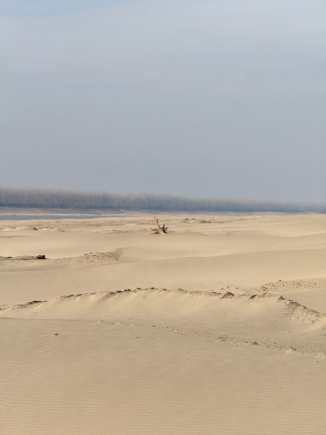 不要以为熟悉的人，就会善待你，有时候他们比陌生人，还可怕 