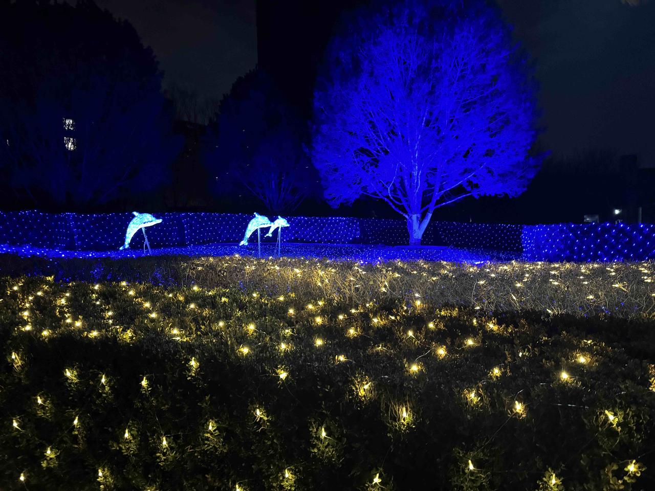 【今年春节回乡多还是返程多？官方数据说清楚了🔥】

先给结论：返程＞回乡，而且