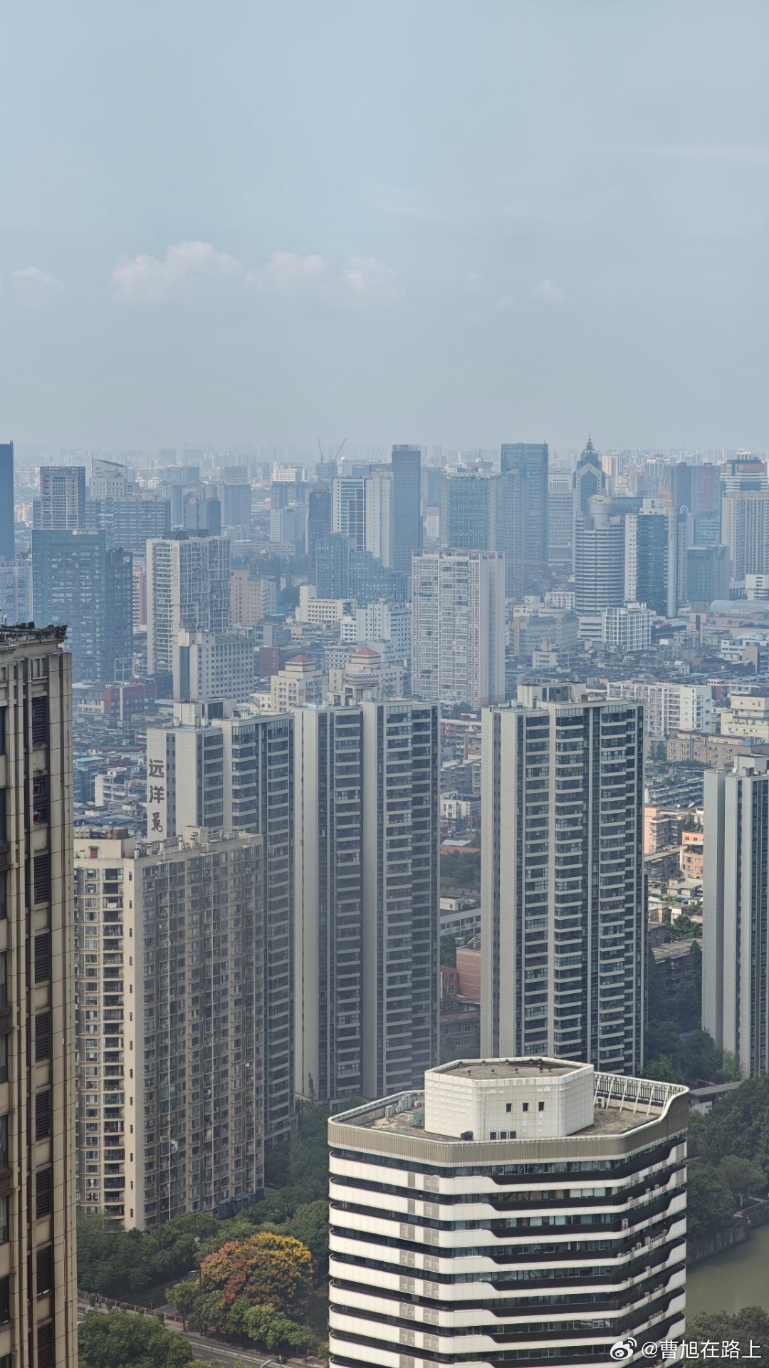 这楼林楼里哪里像是成都对了，来之前听说酒店的淋浴花洒不要用？这是什么情况，有人懂