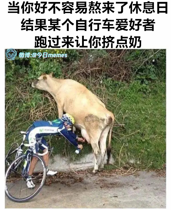 快点（9gag）今日meme[超话]今日memes ​​​