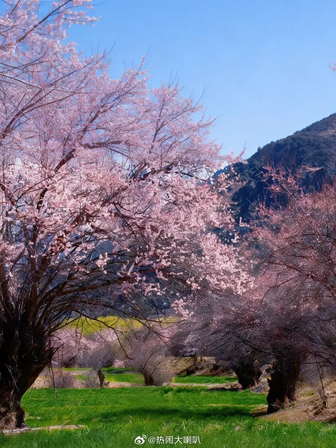 阳光信用  春天到，风景好，莫负春光立志高。 