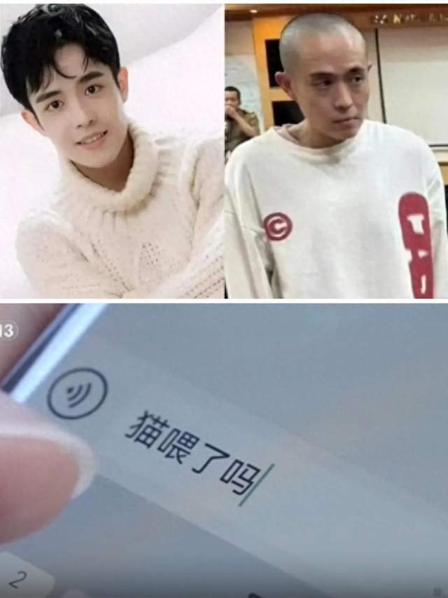 一句“猫喂了吗”救了自己！出门在外一定要留后手