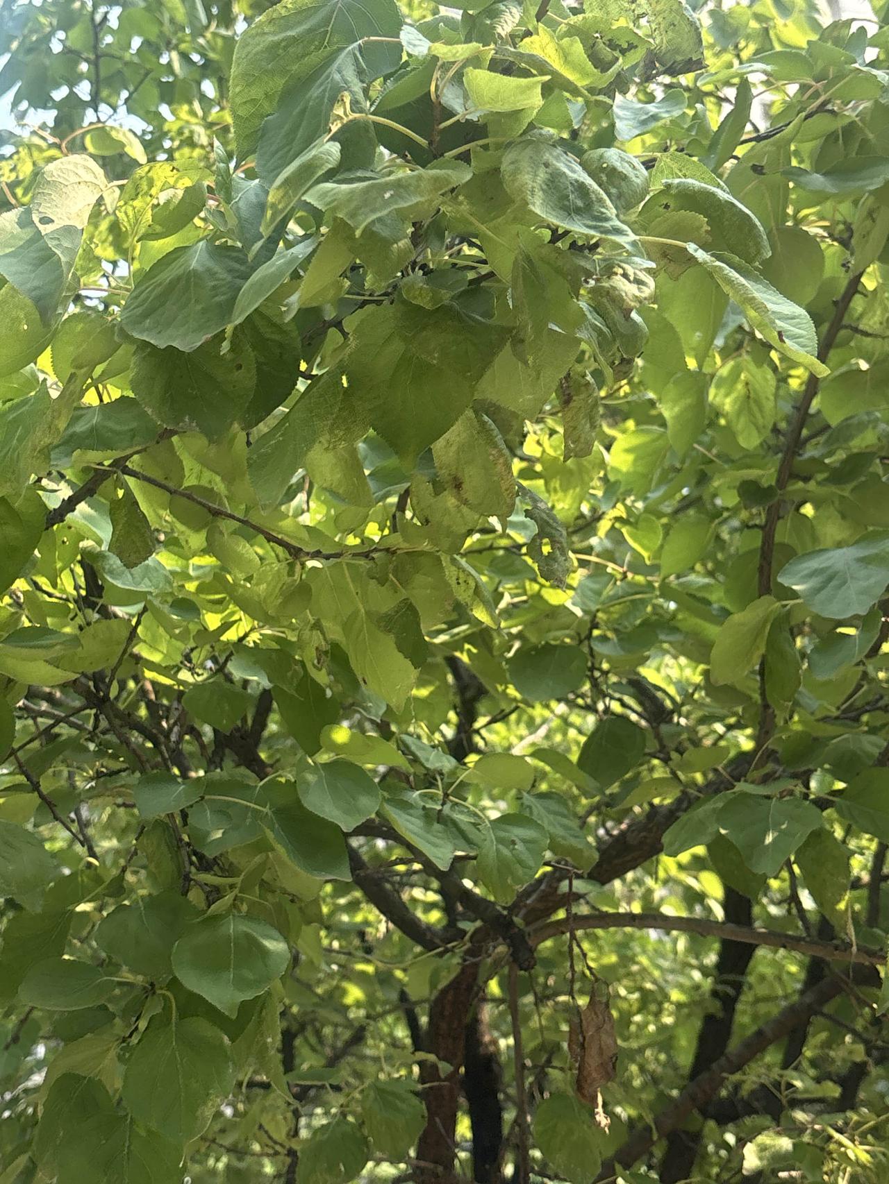 最近刷到一位网友满心郁结，孩子高考只考了309分，他整日提不起精神干活，心里满是