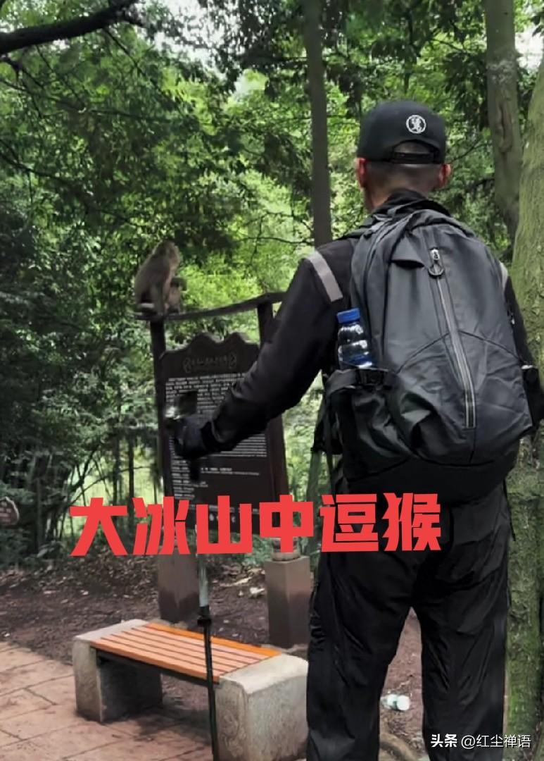 一身江湖气，灵魂真逍遥

刷到大冰账号发的一段视频，是他与朋友登山的场景。

视
