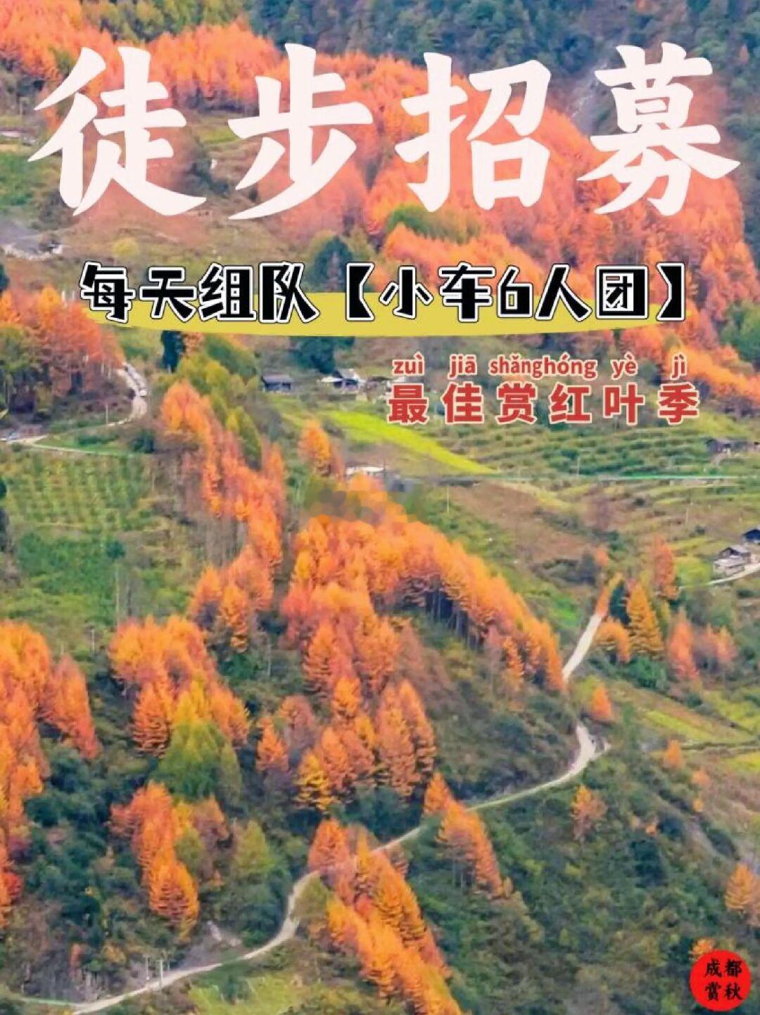 建议❗成都这个地方一定要带娃在秋天去一次