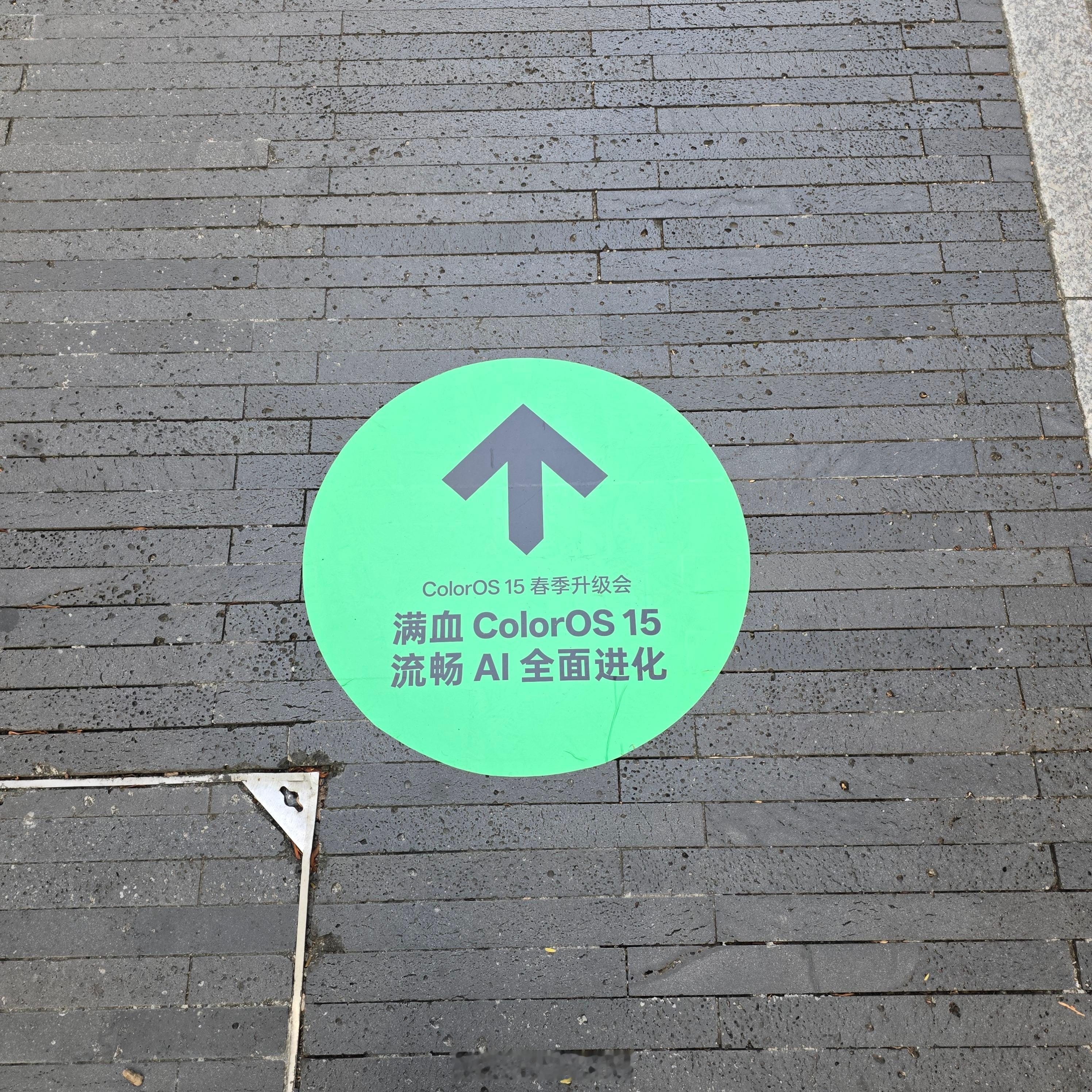 来参加满血ColorOS 春季升级会，正愁找不到路，突然发现全程都有在地上贴路标