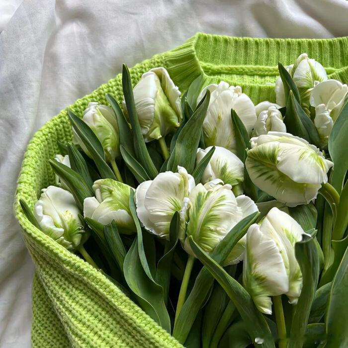 要记得，生命极短。短到，用来做自己喜欢的事情，都不够；更不要说用来犹豫，以及妥协