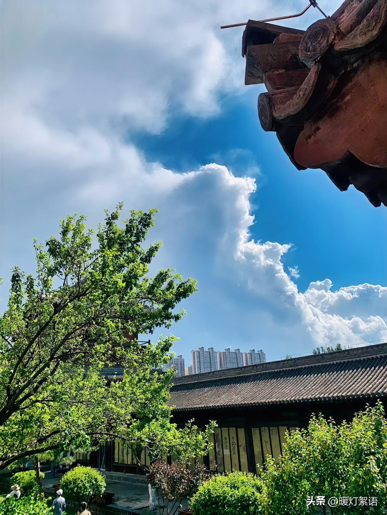 最省心的父母，往往最狠心。

身边有个姐妹，在一众宝妈里显得格格不入。旁人都说她