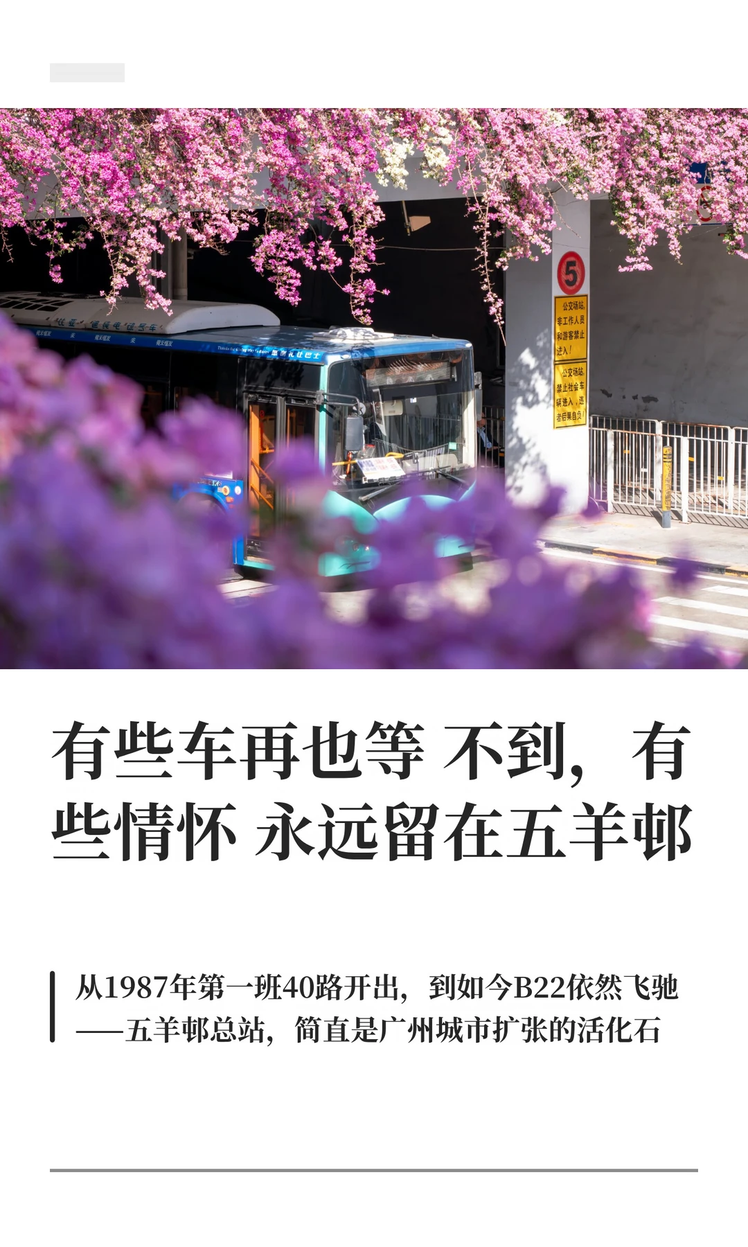 🎞️五羊邨公交图鉴，广州公交的时光机