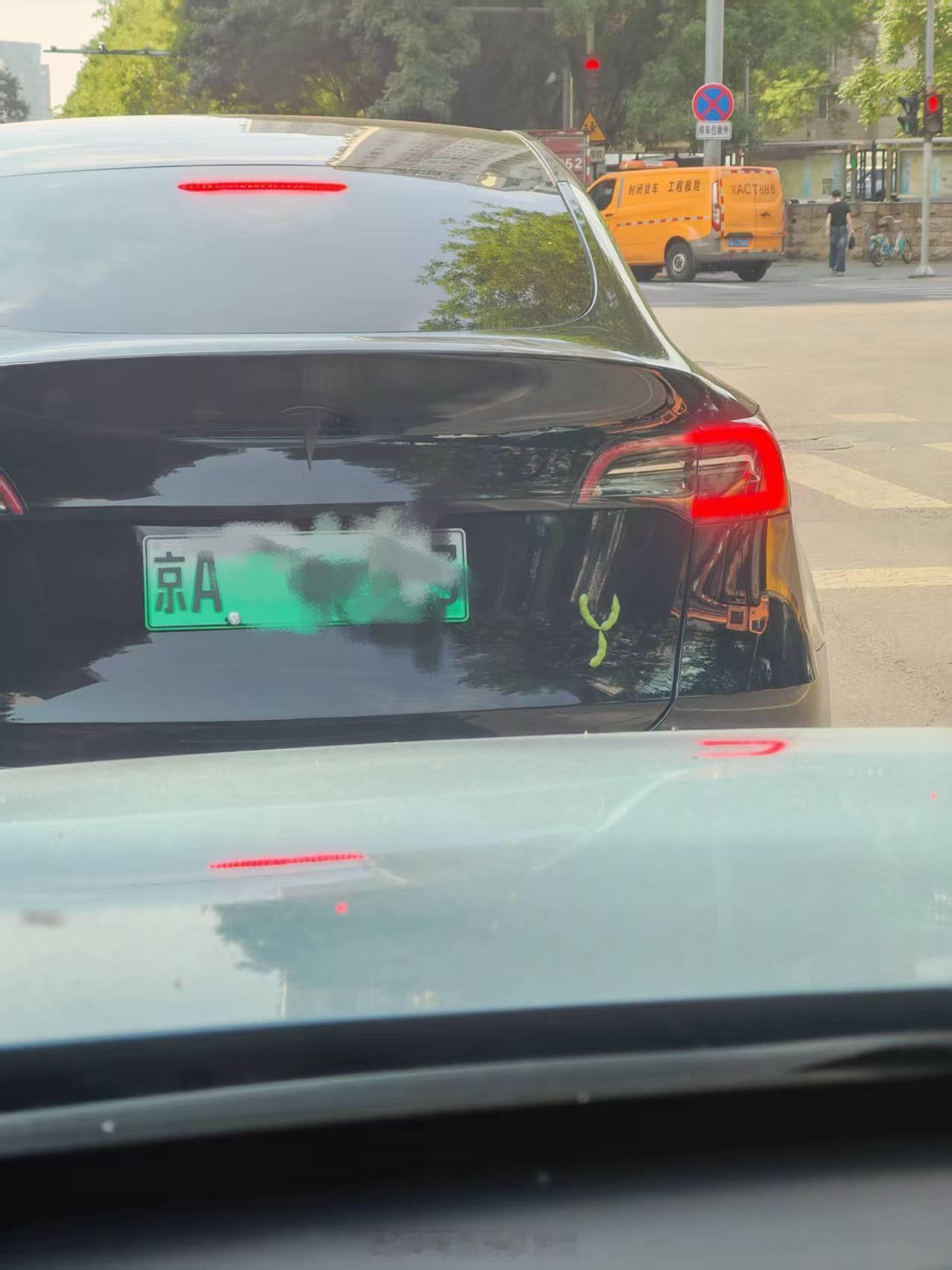 哈哈哈，果然是毛豆Y，真的毛豆Y ​​​