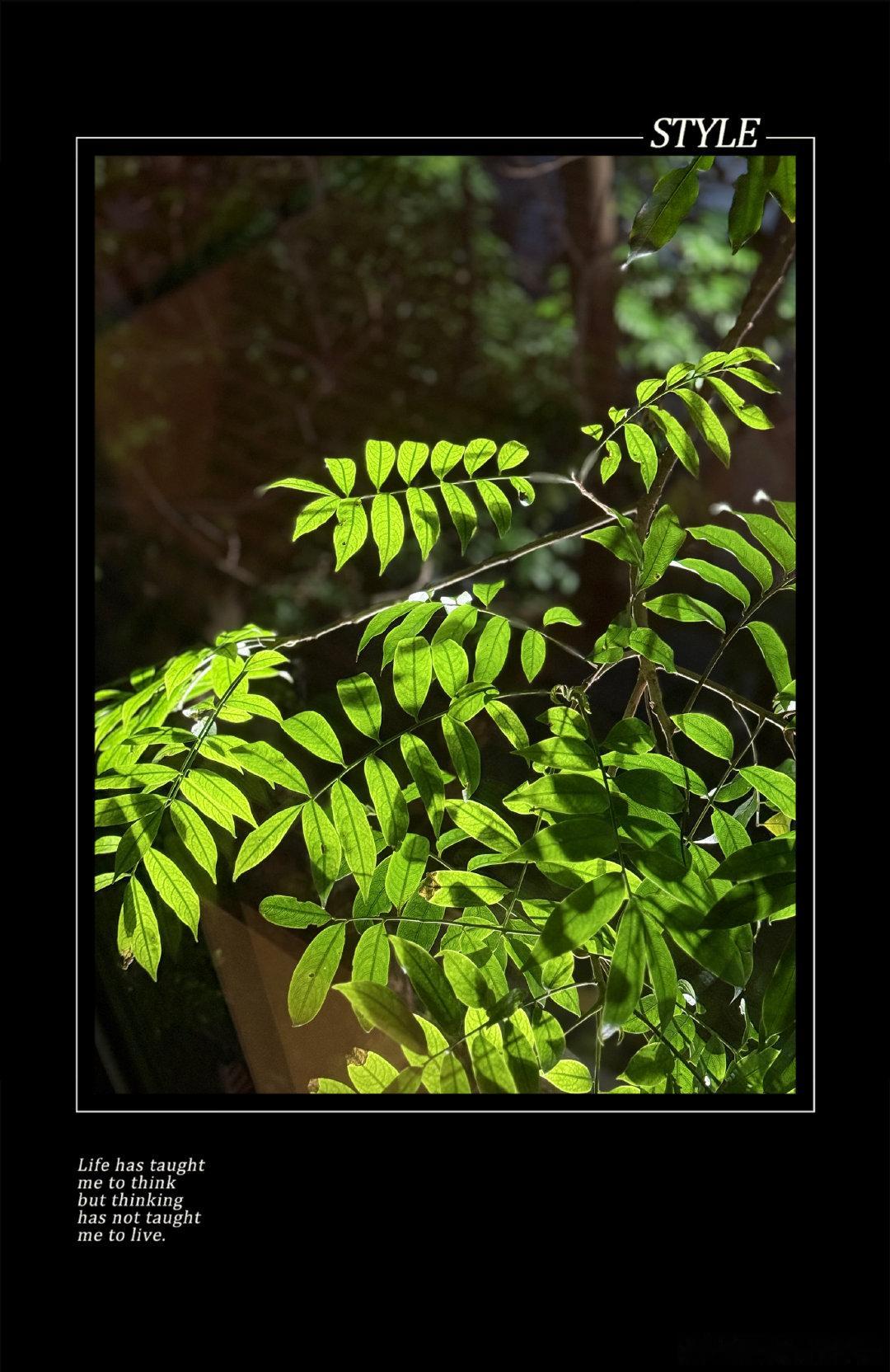 晚安 