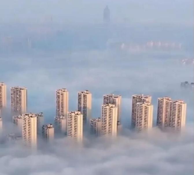 有德国网友说世界上有两个骗子国家，一个是美国，一个是中国。

美国称自己是世界上