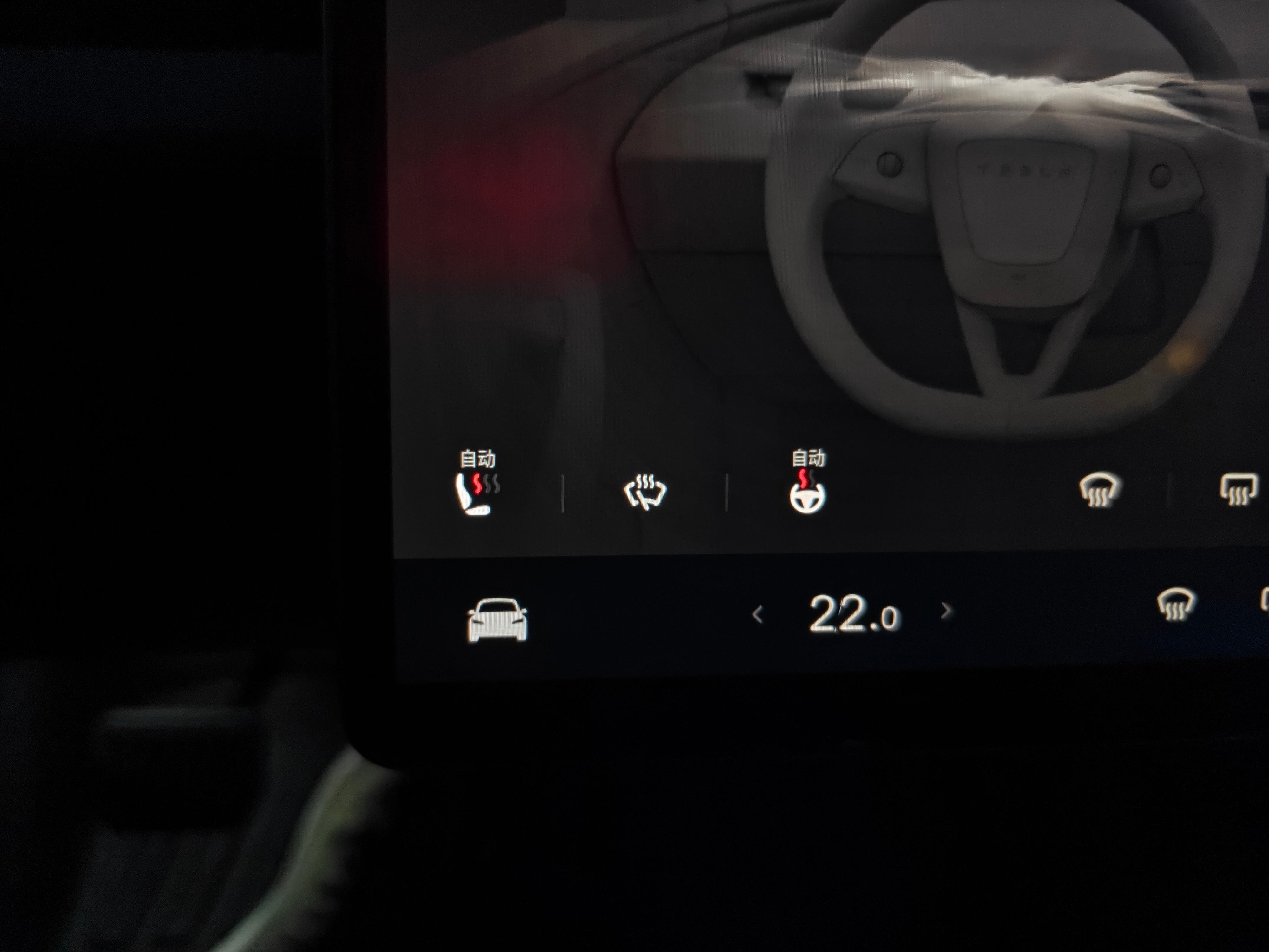 今天大失误，穿了一件秋衣单衣，晚上是真冷。上车一看给特斯拉的自动座椅/方向盘加热