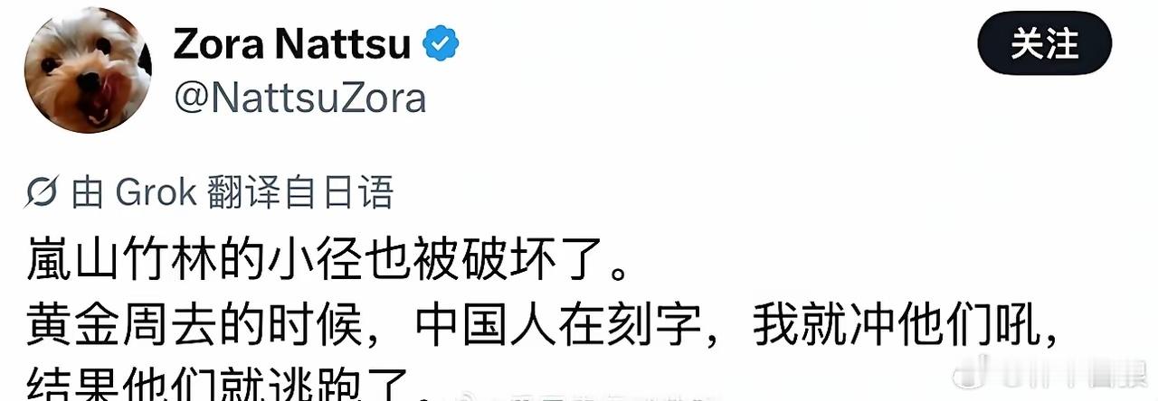 日本京都伏见稻荷大社的竹林，竹子上面各种被刻了很多英文字母，然而日本人却在责怪中