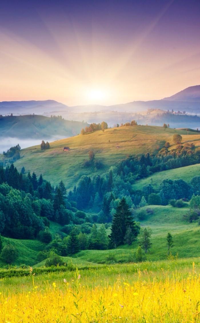 活着的意义是什么？
不同的人有不同的答案。
但对于大多数人来说，活着的意义就是为