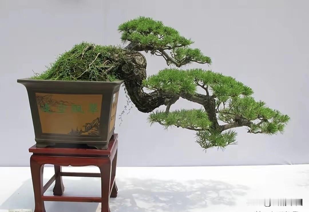一纸翰墨胜千金

＿＿＿郭赋林（釜麟）

笔墨凝情，素笺藏韵，自古文人重翰墨，从