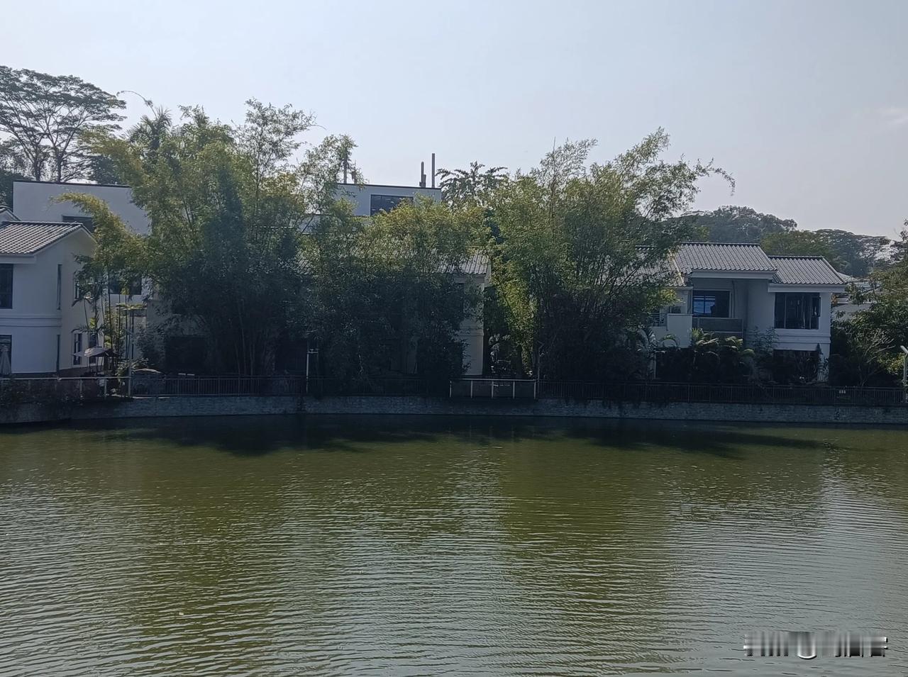 快来看看我新换的主页背景吧