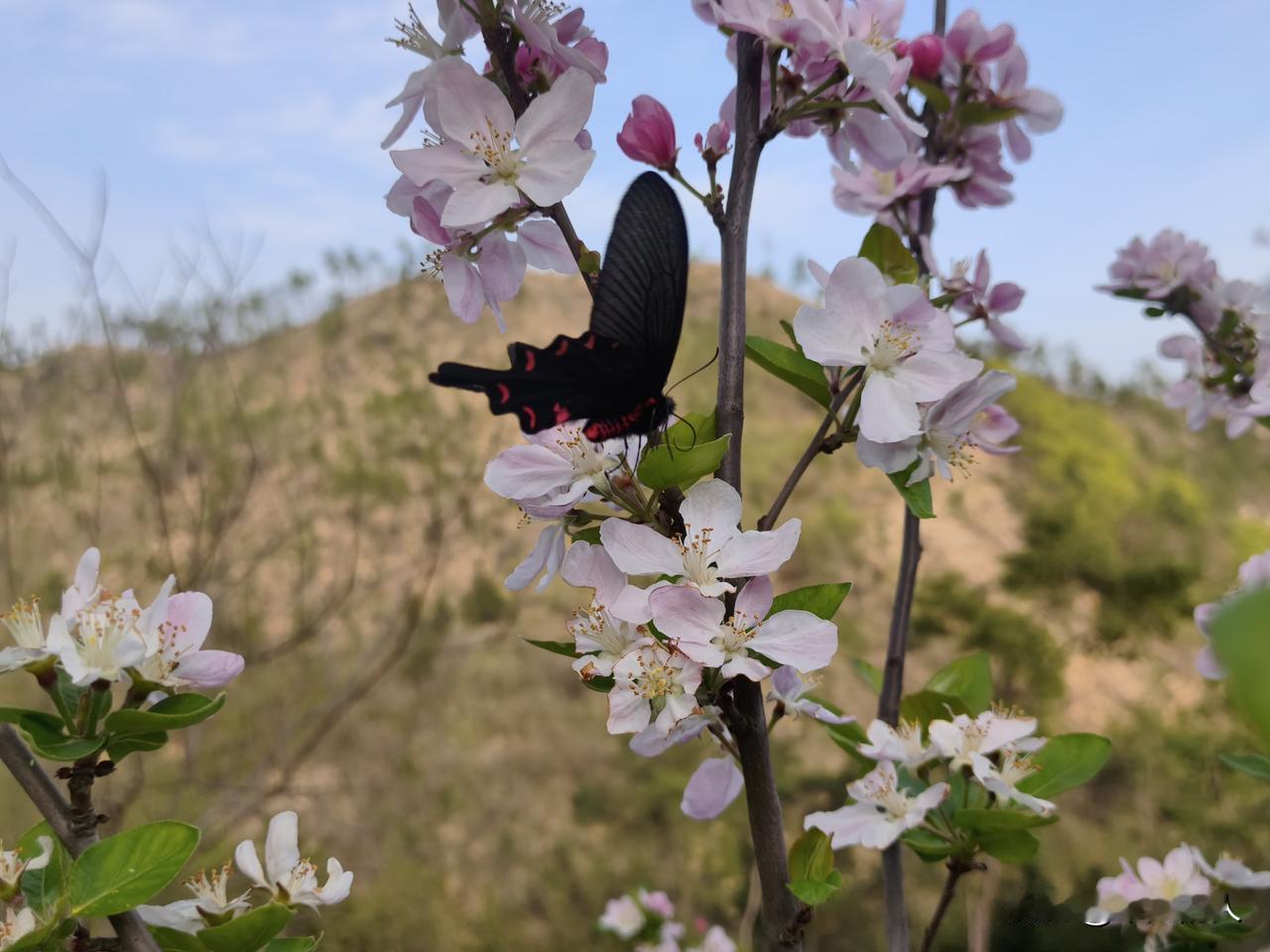 很喜欢的一段话：“生活没有如果，只有结果，自己尽力了，努力了就好。”
     