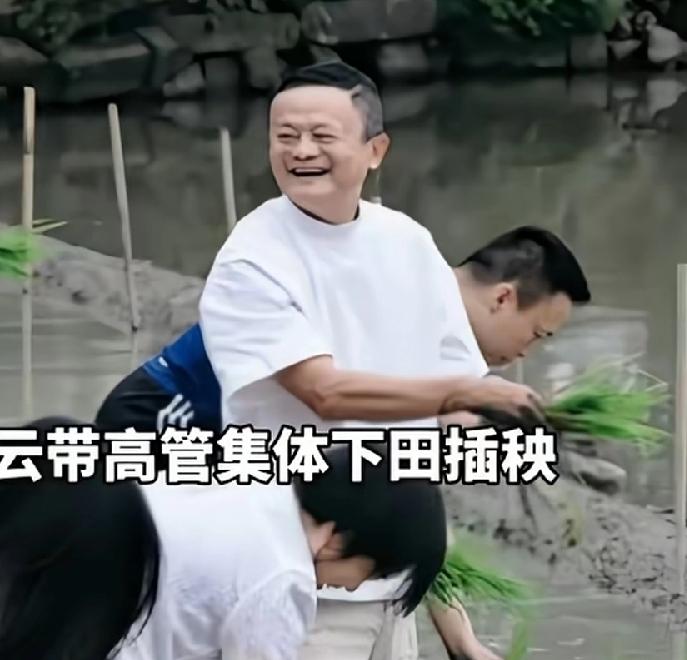 马云插秧这2张图片，拍得很奇怪，第一张插秧近照，人挺胖，特别是大头和肥脸，很有中