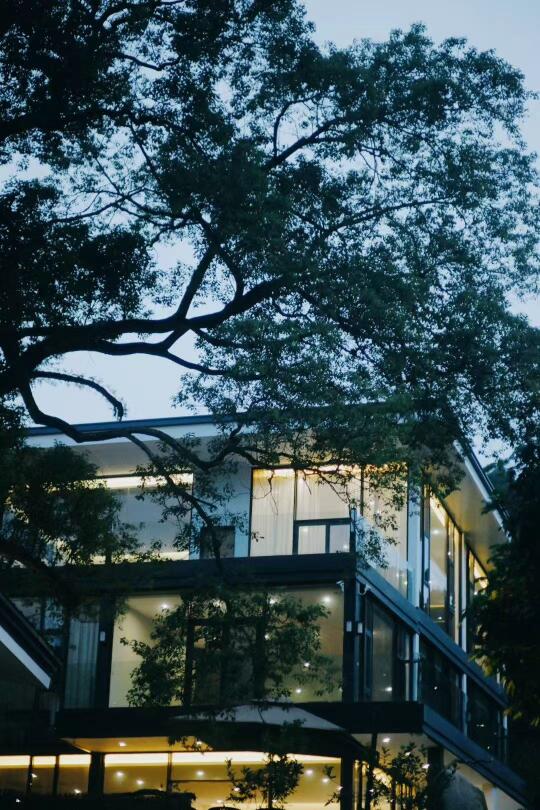 长泰果宿｜住进森林的褶皱里，等四季来吻你