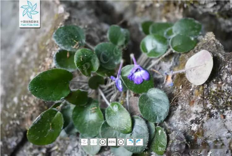 请说出一部电影，证明你不再年轻《自古英雄出少年》