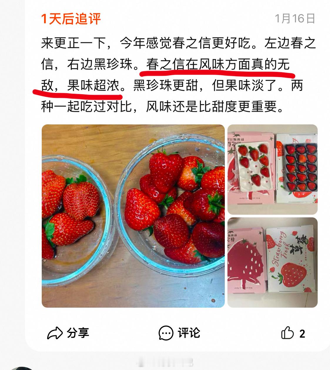 因为黑珍珠的网红旋风，今年遇见了不少拿春之信和网红草莓比较的留言。 对于草莓来说