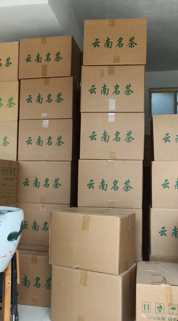 正气塘和大雪山古树春茶，开始印包装了，过两天进厂压饼！纯纯的森林里的放养大古树小