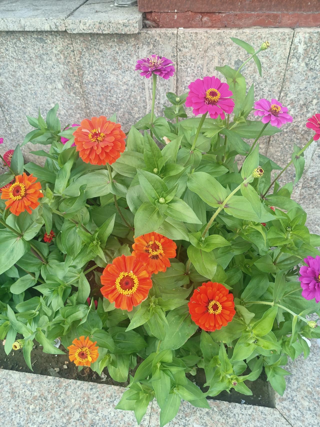 上联：山重水复疑无路，诚求下联柳暗花明又一村。