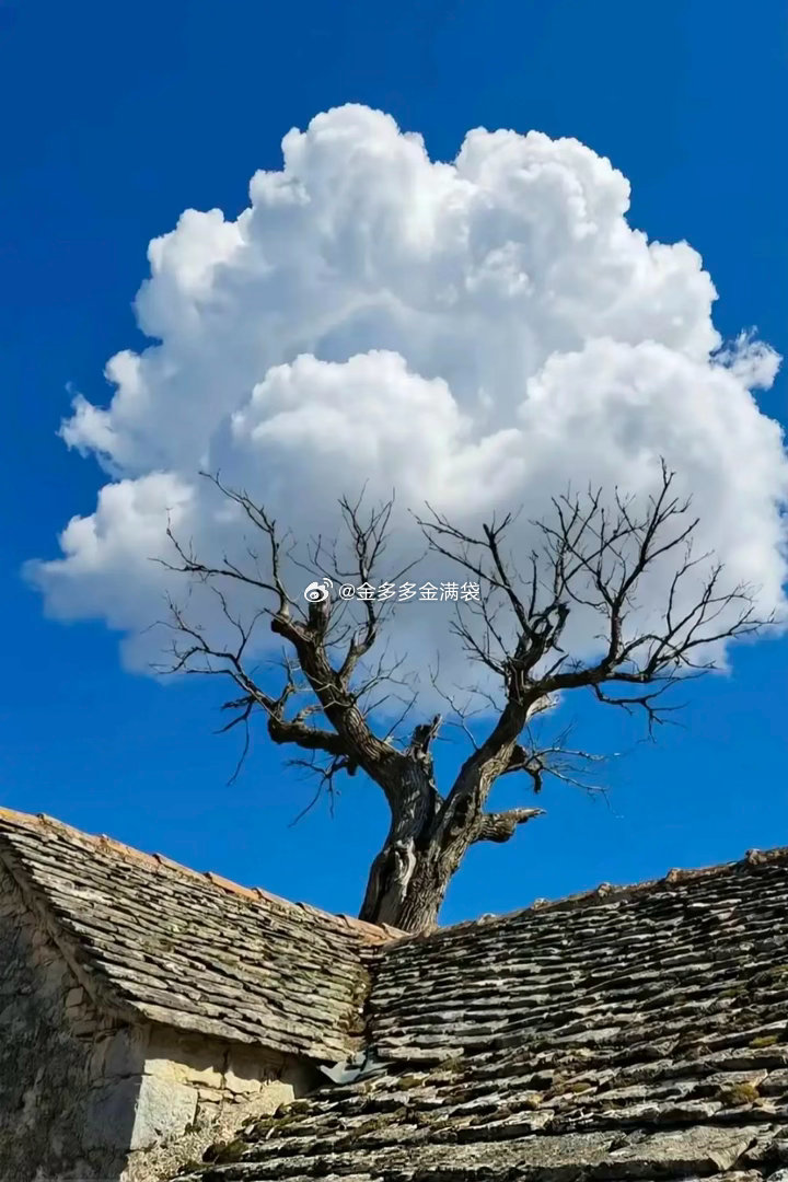 整个周末，我看到太多的消息：周一怎么办？太多的人问我，要不要清仓要不要减仓逃命，