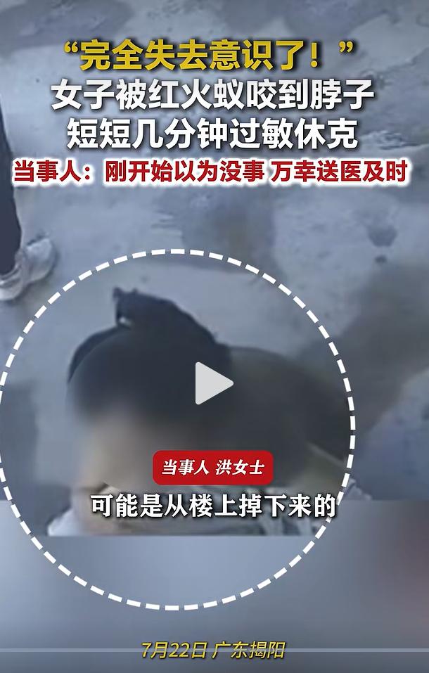 2026年7月22日，广东揭阳普宁市民洪女士意外被一只飘落的红火蚁叮咬脖子，本以